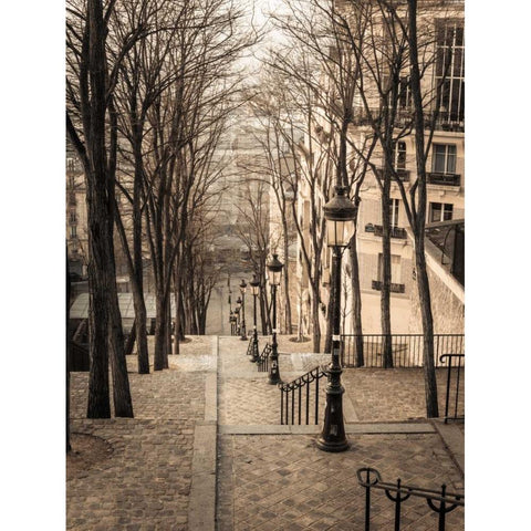 The famous staircase in Montmartre, Paris, France Black Modern Wood Framed Art Print with Double Matting by Frank, Assaf