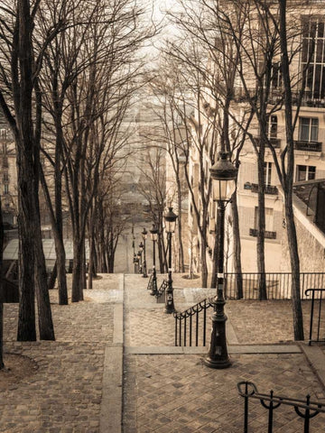 The famous staircase in Montmartre, Paris, France Black Ornate Wood Framed Art Print with Double Matting by Frank, Assaf