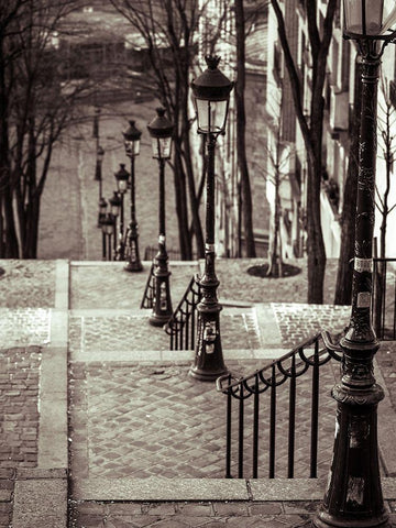 The famous staircase in Montmartre-Paris-France Black Ornate Wood Framed Art Print with Double Matting by Frank, Assaf