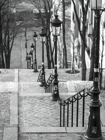 The famous staircase in Montmartre-Paris-France Black Ornate Wood Framed Art Print with Double Matting by Frank, Assaf