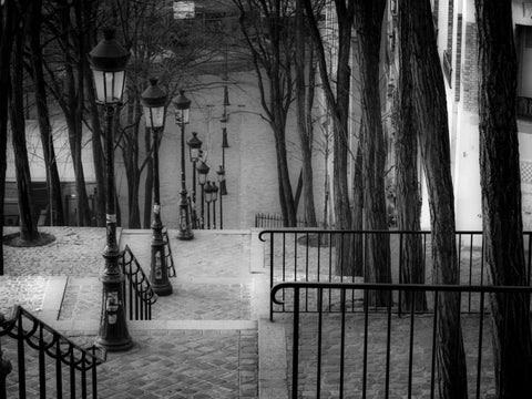 The famous staircase in Montmartre, Paris, France Black Ornate Wood Framed Art Print with Double Matting by Frank, Assaf