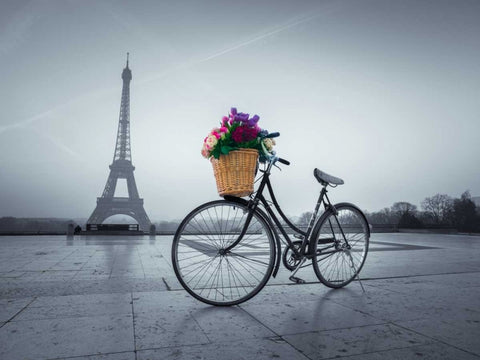 Bicycle with a basket of flowers next to the Eiffel tower, Paris, France Black Ornate Wood Framed Art Print with Double Matting by Frank, Assaf