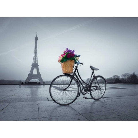 Bicycle with a basket of flowers next to the Eiffel tower, Paris, France Gold Ornate Wood Framed Art Print with Double Matting by Frank, Assaf