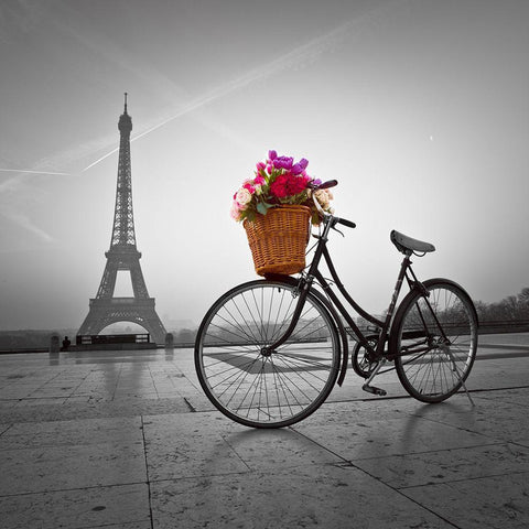 Bicycle with a basket of flowers next to the Eiffel tower White Modern Wood Framed Art Print with Double Matting by Frank, Assaf