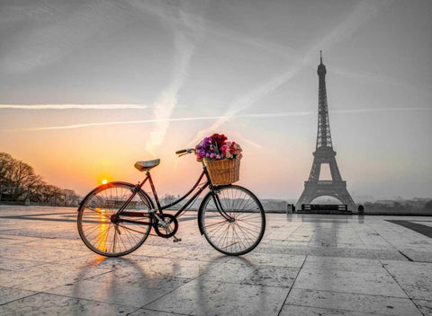 Bicycle with a basket of flowers next to the Eiffel tower, Paris, France White Modern Wood Framed Art Print with Double Matting by Frank, Assaf