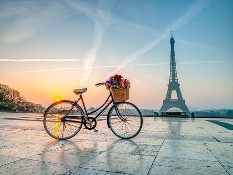 Bicycle and Eiffel tower White Modern Wood Framed Art Print with Double Matting by Frank, Assaf