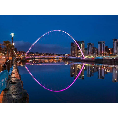 Gateshead Millenium Bridge, Newcastle Upon Tyne, FTBR-1876 Gold Ornate Wood Framed Art Print with Double Matting by Frank, Assaf