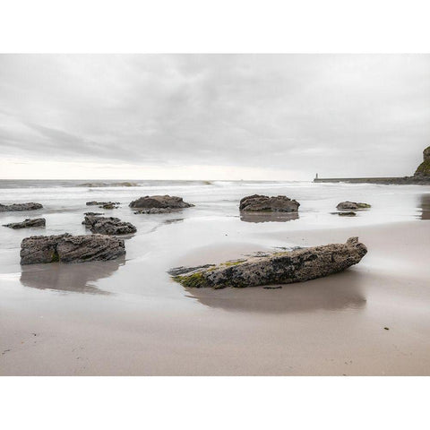 Rocks on a sandy beach Black Modern Wood Framed Art Print by Frank, Assaf