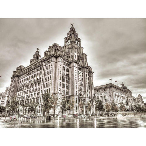 Royal Liver Building, Liverpool, FTBR-1866 Black Modern Wood Framed Art Print by Frank, Assaf