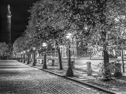 Row of trees at night White Modern Wood Framed Art Print with Double Matting by Frank, Assaf