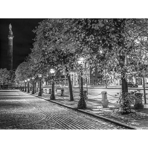 Row of trees at night Black Modern Wood Framed Art Print with Double Matting by Frank, Assaf