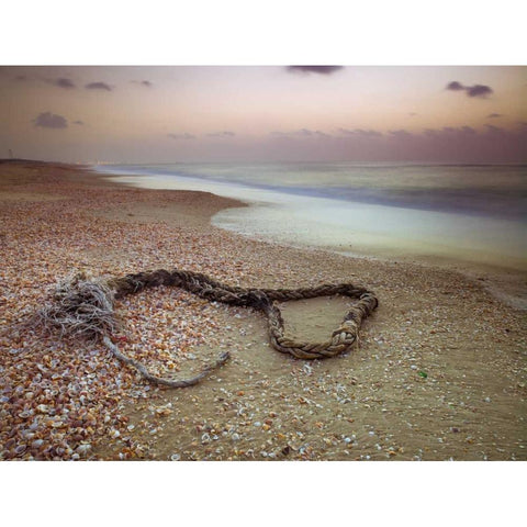 Rope lying on beach Gold Ornate Wood Framed Art Print with Double Matting by Frank, Assaf