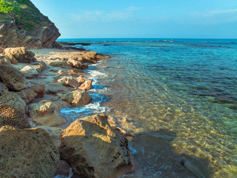 Rocky beach, Israel Black Ornate Wood Framed Art Print with Double Matting by Frank, Assaf