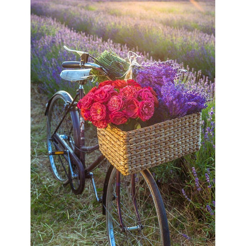 Basket of flowers on a bicycle Black Modern Wood Framed Art Print by Frank, Assaf