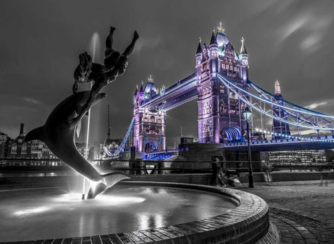 Fountian next to tower bridge, London, UK Black Ornate Wood Framed Art Print with Double Matting by Frank, Assaf