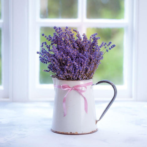 Bunch of lavender in antique jug by the window - Indoors White Modern Wood Framed Art Print by Frank, Assaf