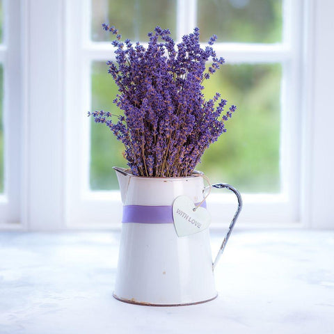 Bunch of lavender in antique jug by the window - Indoors White Modern Wood Framed Art Print with Double Matting by Frank, Assaf