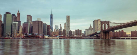 Lower Manhattan skyline with Brooklyn Bridge, New York White Modern Wood Framed Art Print with Double Matting by Frank, Assaf