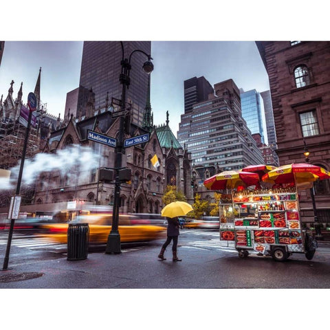 Tourist with umbrella on streets of Lower Manhattan, New York Black Modern Wood Framed Art Print with Double Matting by Frank, Assaf