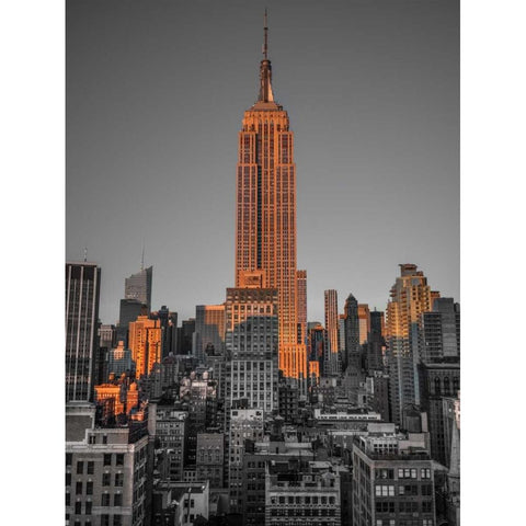 Empire State Building with New York City Manhattan skyline with skyscrapers Black Modern Wood Framed Art Print with Double Matting by Frank, Assaf