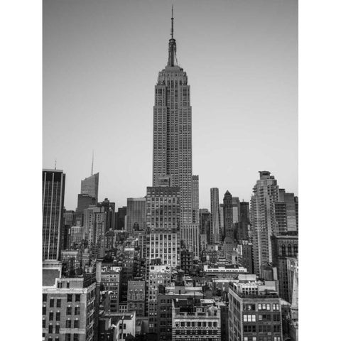 Empire State Building with New York City Manhattan skyline with skyscrapers Black Modern Wood Framed Art Print with Double Matting by Frank, Assaf