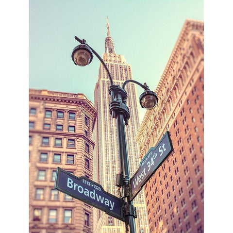 Street lamp and street signs with Empire State building in background - New York Black Modern Wood Framed Art Print with Double Matting by Frank, Assaf