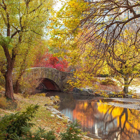 Gapstow bridge in autumn-Central Park-New York city Black Modern Wood Framed Art Print with Double Matting by Frank, Assaf