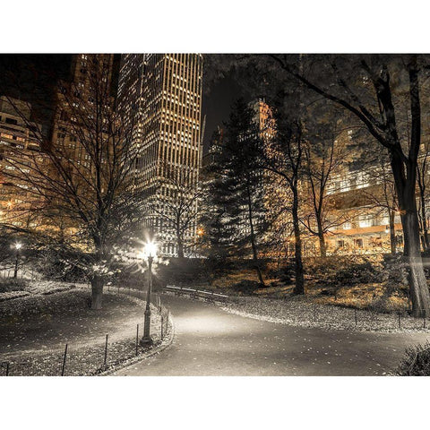 Evening view of Central Park in New York City Black Modern Wood Framed Art Print with Double Matting by Frank, Assaf