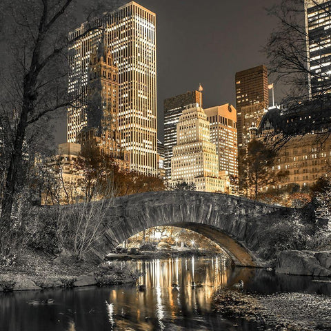 Evening view of Central Park in New York City Black Modern Wood Framed Art Print with Double Matting by Frank, Assaf