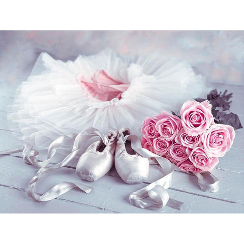 Ballet shoes and skirt Black Modern Wood Framed Art Print with Double Matting by Frank, Assaf