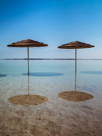 Bathing canopy on the beach on the Dead Sea, Israel Black Ornate Wood Framed Art Print with Double Matting by Frank, Assaf