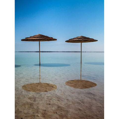 Bathing canopy on the beach on the Dead Sea, Israel Black Modern Wood Framed Art Print with Double Matting by Frank, Assaf