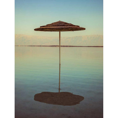 Parasol on beach of Dead Sea, Israel Gold Ornate Wood Framed Art Print with Double Matting by Frank, Assaf