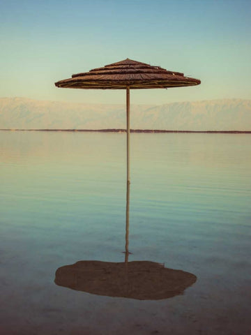 Parasol on beach of Dead Sea, Israel Black Ornate Wood Framed Art Print with Double Matting by Frank, Assaf