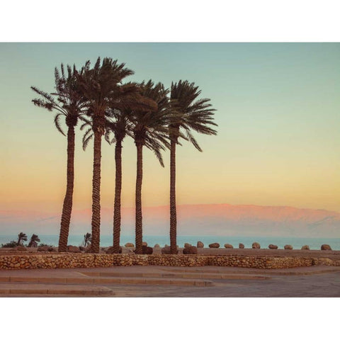 Palm trees on beach of Dead sea, Israel Gold Ornate Wood Framed Art Print with Double Matting by Frank, Assaf