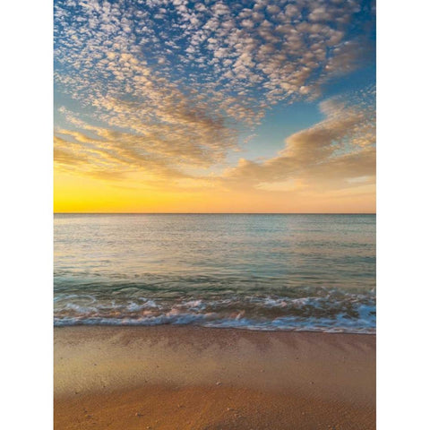 Tranquil beach at dusk Gold Ornate Wood Framed Art Print with Double Matting by Frank, Assaf