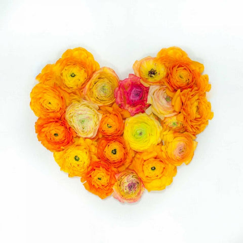 Heart made of flowers White Modern Wood Framed Art Print with Double Matting by Frank, Assaf