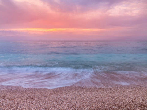 Flower heart collage White Modern Wood Framed Art Print with Double Matting by Frank, Assaf