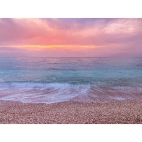 Flower heart collage White Modern Wood Framed Art Print by Frank, Assaf