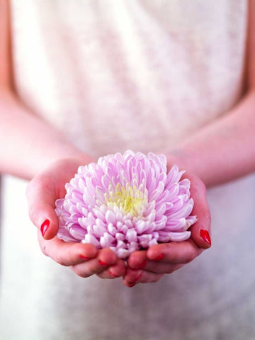 Female hands holding a flower White Modern Wood Framed Art Print with Double Matting by Frank, Assaf