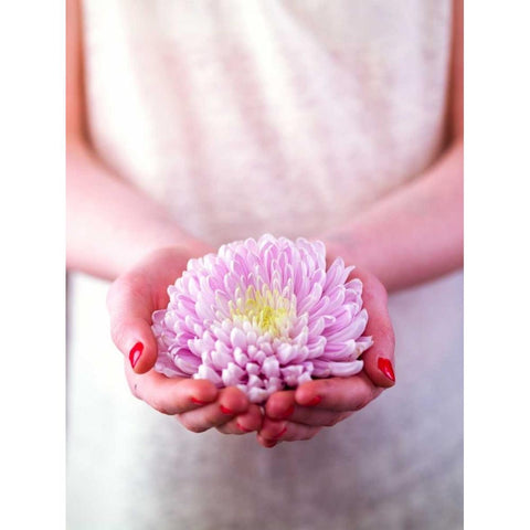 Female hands holding a flower Gold Ornate Wood Framed Art Print with Double Matting by Frank, Assaf