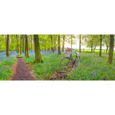 Bicycle in spring forest with bunch of flowers Gold Ornate Wood Framed Art Print with Double Matting by Frank, Assaf