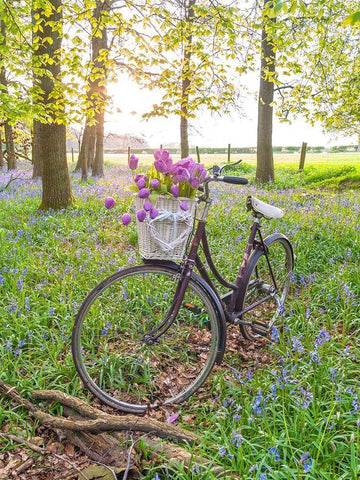 Bicycle in spring forest with bunch of flowers White Modern Wood Framed Art Print with Double Matting by Frank, Assaf