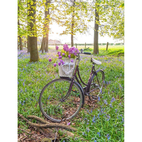 Bicycle in spring forest with bunch of flowers Black Modern Wood Framed Art Print with Double Matting by Frank, Assaf