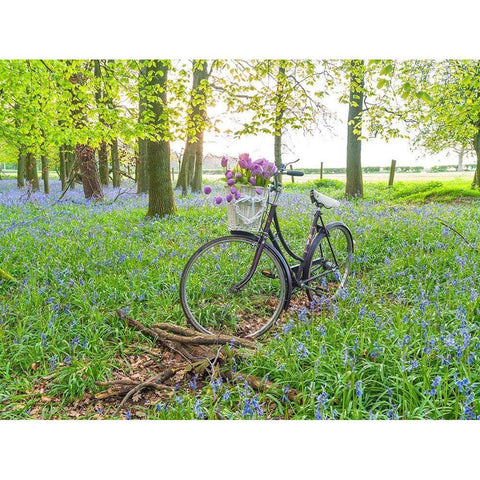 Bicycle in spring forest with bunch of flowers Black Modern Wood Framed Art Print with Double Matting by Frank, Assaf