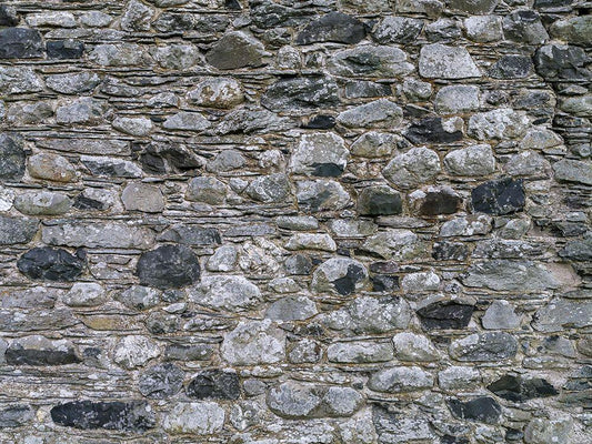 Image Only