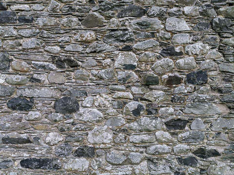 Stone wall Black Ornate Wood Framed Art Print with Double Matting by Frank, Assaf