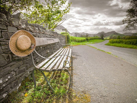 Bench with a hat on countryside road Black Ornate Wood Framed Art Print with Double Matting by Frank, Assaf