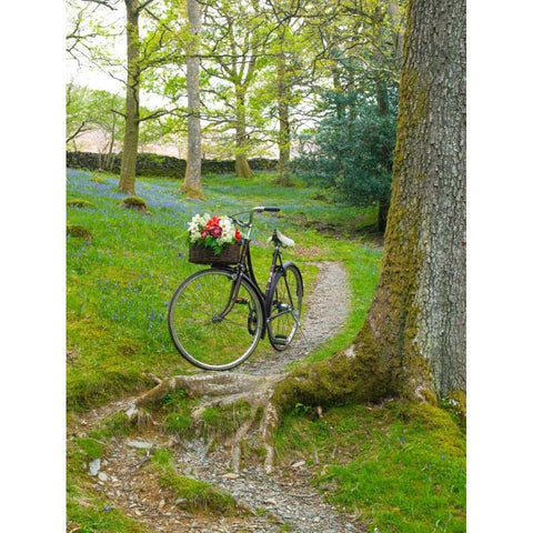 Bicycle in spring forest Black Modern Wood Framed Art Print with Double Matting by Frank, Assaf
