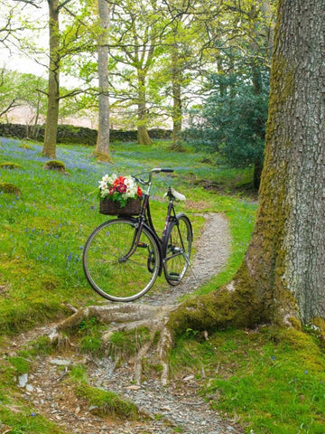 Bicycle in spring forest Black Ornate Wood Framed Art Print with Double Matting by Frank, Assaf